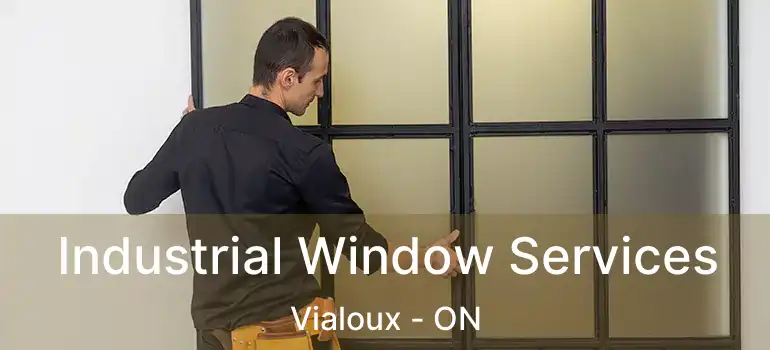  Industrial Window Services Vialoux - ON