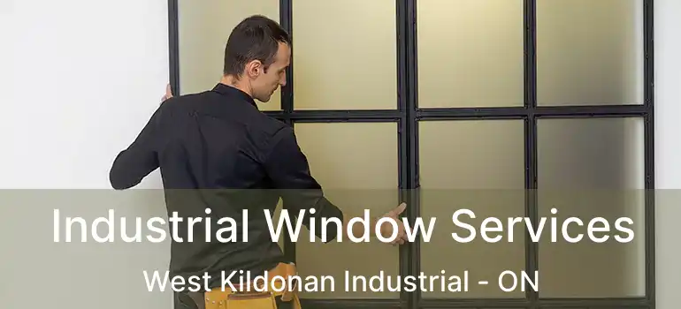  Industrial Window Services West Kildonan Industrial - ON