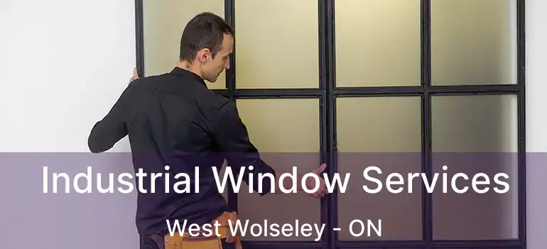  Industrial Window Services West Wolseley - ON