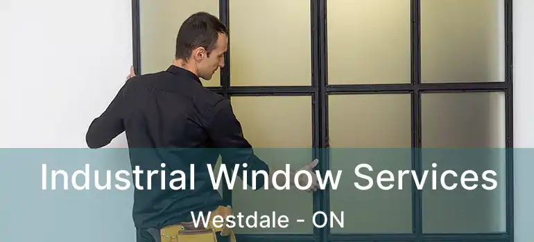  Industrial Window Services Westdale - ON