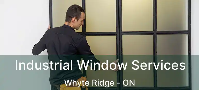  Industrial Window Services Whyte Ridge - ON