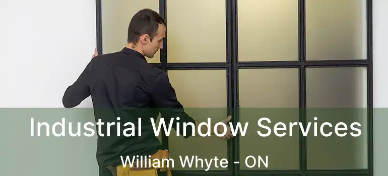  Industrial Window Services William Whyte - ON