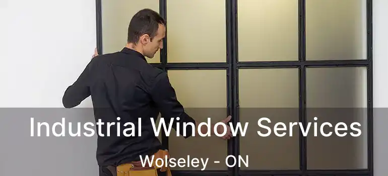  Industrial Window Services Wolseley - ON