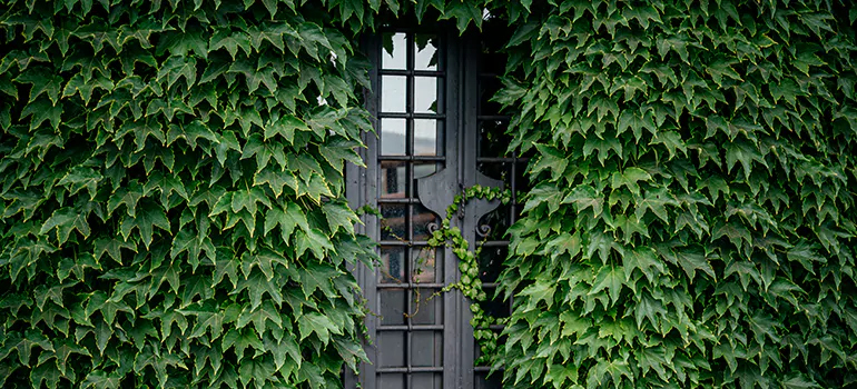 Garden Gate Repair in Kingston, ON