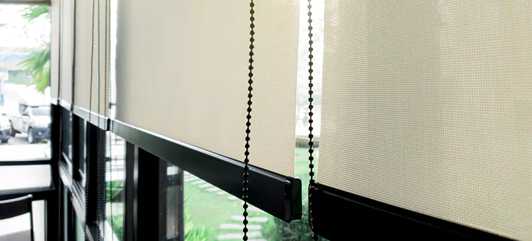 Blackout Window Shades in Kingston, Ontario