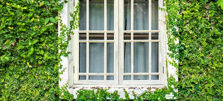 Garden Window Repair Near Me in Kingston, ON