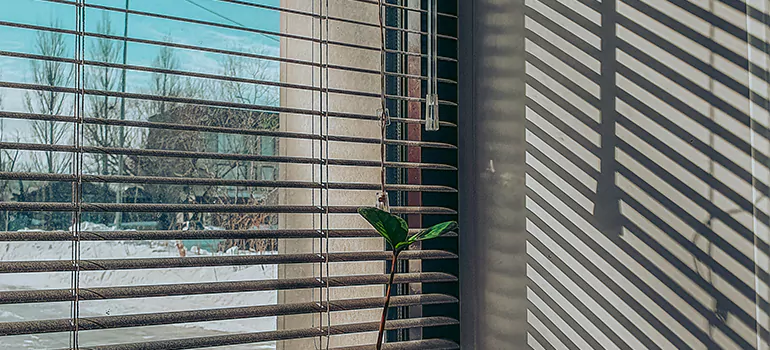 Commercial Window Blinds in Kingston, ON