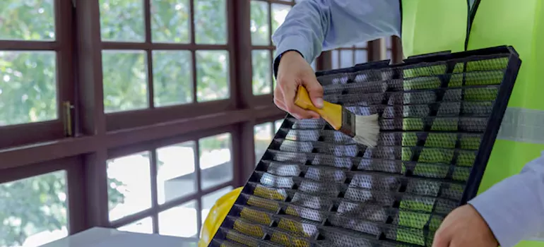 Traditional Window Grille Installation Options in Kingston, ON