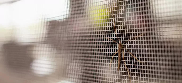 Repair Mosquito Mesh For Windows in Booth, Ontario