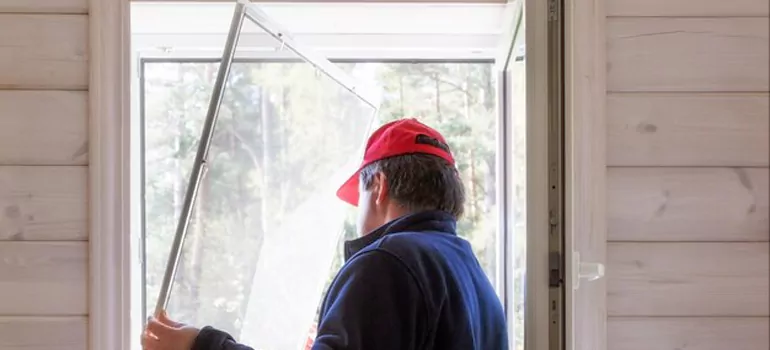 Expandable Window Screen Installation in Kingston, Ontario