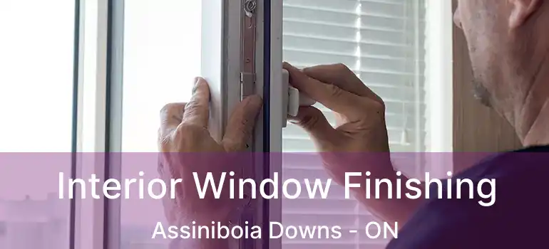  Interior Window Finishing Assiniboia Downs - ON