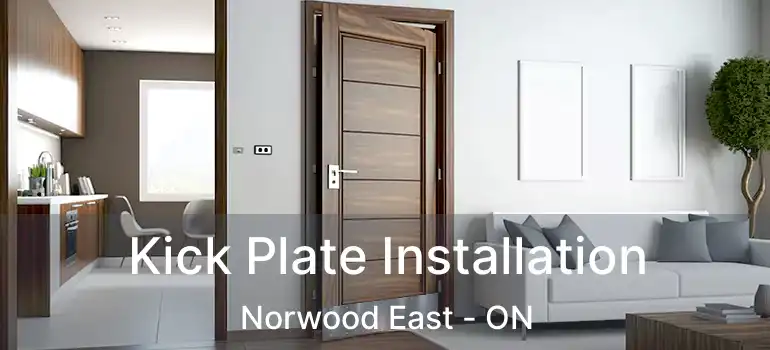  Kick Plate Installation Norwood East - ON