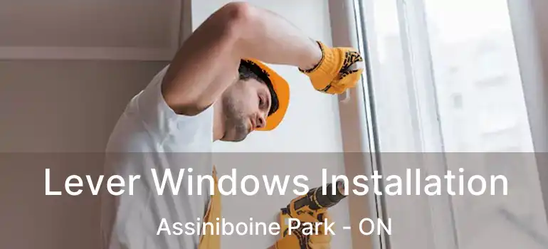  Lever Windows Installation Assiniboine Park - ON