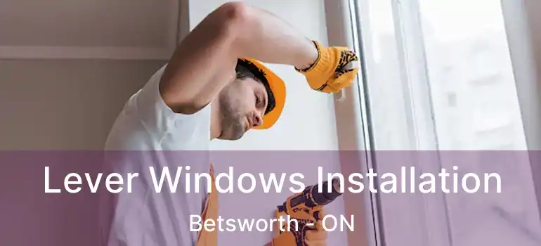  Lever Windows Installation Betsworth - ON
