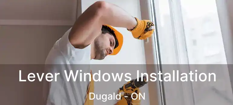  Lever Windows Installation Dugald - ON