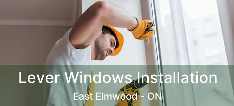  Lever Windows Installation East Elmwood - ON