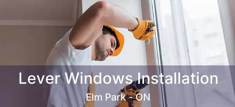  Lever Windows Installation Elm Park - ON