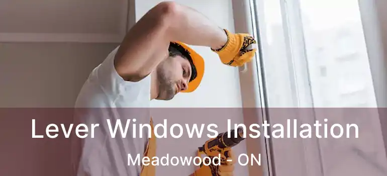  Lever Windows Installation Meadowood - ON