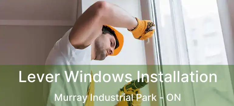  Lever Windows Installation Murray Industrial Park - ON