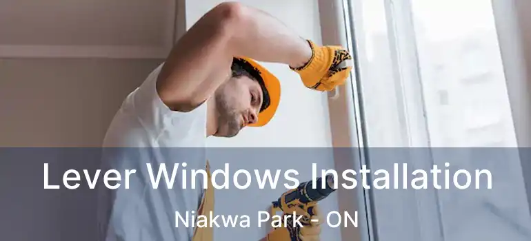  Lever Windows Installation Niakwa Park - ON