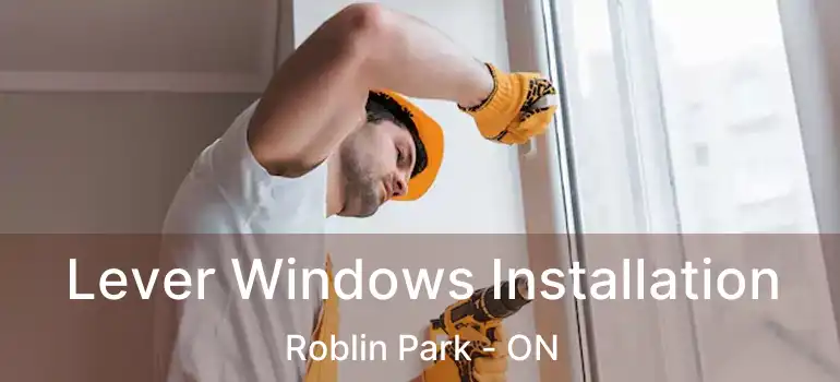  Lever Windows Installation Roblin Park - ON