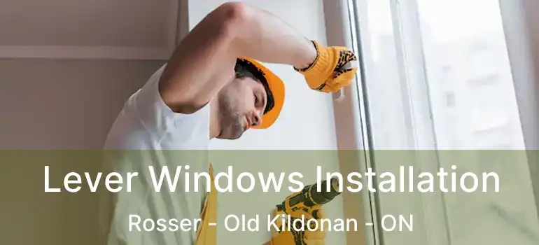  Lever Windows Installation Rosser - Old Kildonan - ON
