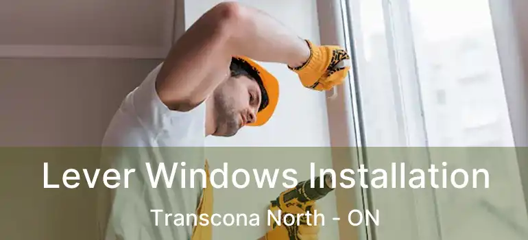 Lever Windows Installation Transcona North - ON