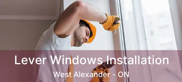  Lever Windows Installation West Alexander - ON