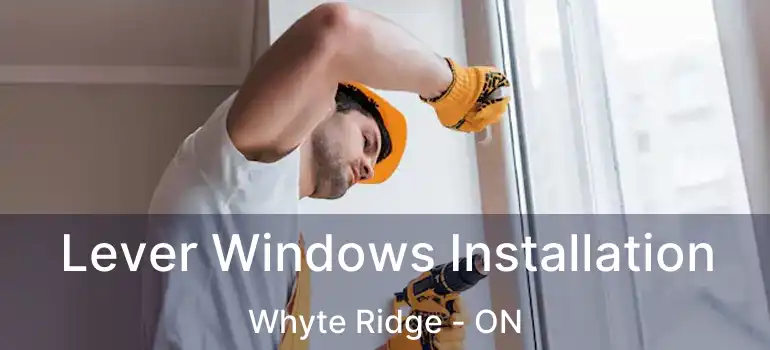  Lever Windows Installation Whyte Ridge - ON