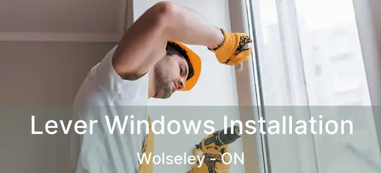  Lever Windows Installation Wolseley - ON