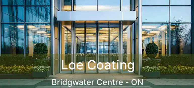  Loe Coating Bridgwater Centre - ON