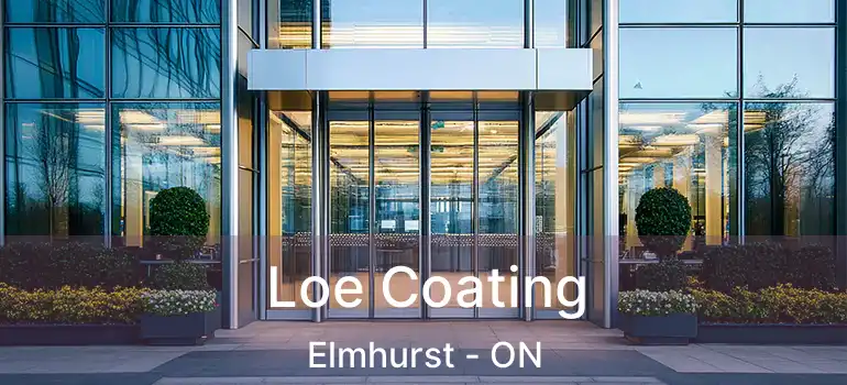  Loe Coating Elmhurst - ON