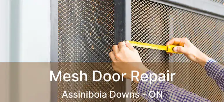  Mesh Door Repair Assiniboia Downs - ON