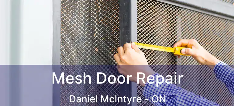  Mesh Door Repair Daniel McIntyre - ON