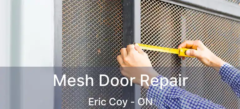  Mesh Door Repair Eric Coy - ON