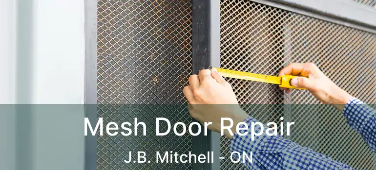  Mesh Door Repair J.B. Mitchell - ON