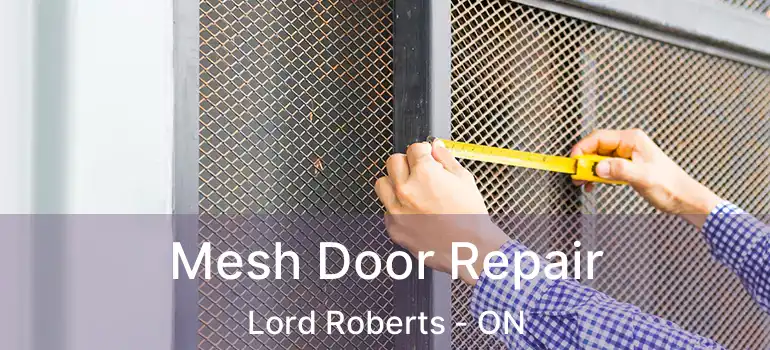  Mesh Door Repair Lord Roberts - ON