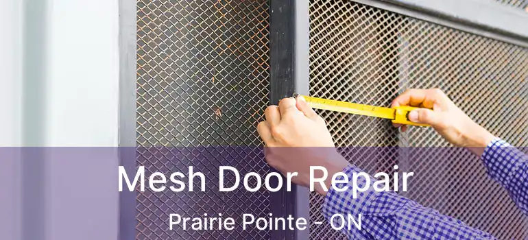  Mesh Door Repair Prairie Pointe - ON