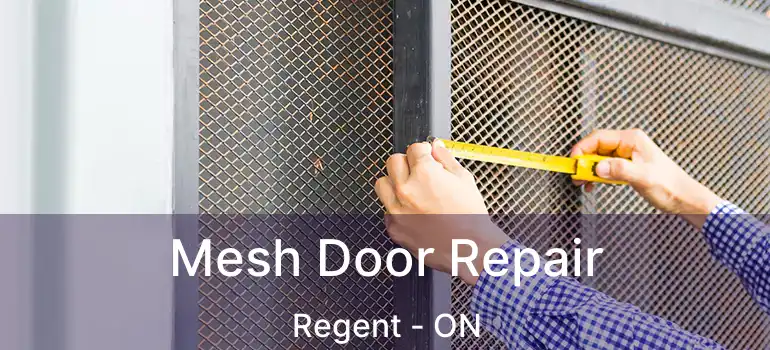  Mesh Door Repair Regent - ON
