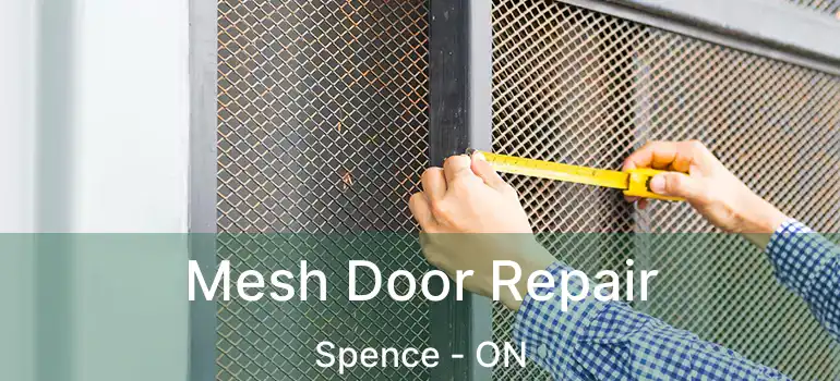  Mesh Door Repair Spence - ON