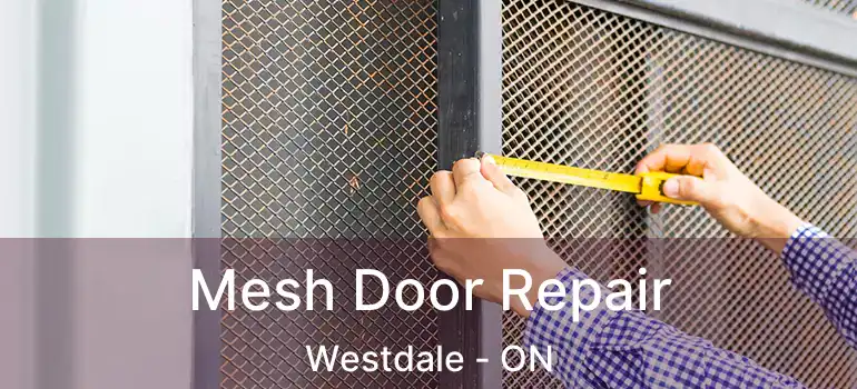  Mesh Door Repair Westdale - ON