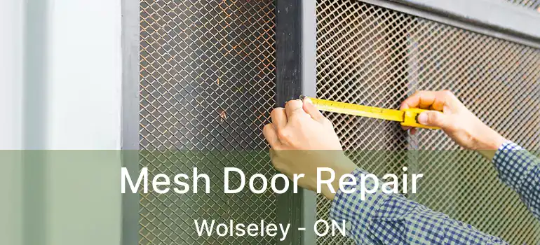  Mesh Door Repair Wolseley - ON