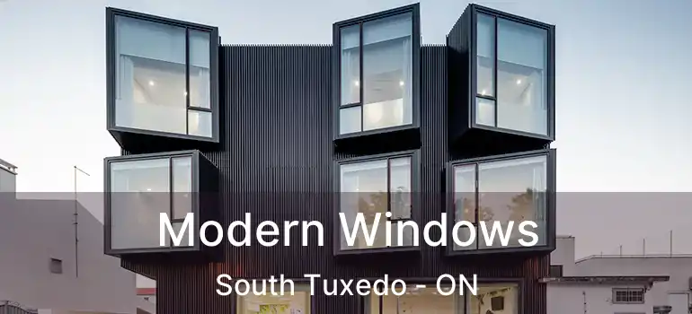  Modern Windows South Tuxedo - ON