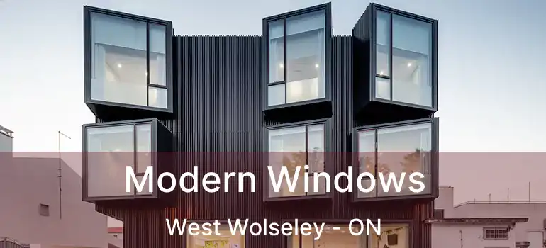  Modern Windows West Wolseley - ON