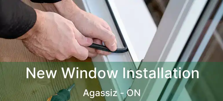  New Window Installation Agassiz - ON