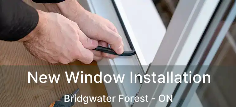  New Window Installation Bridgwater Forest - ON