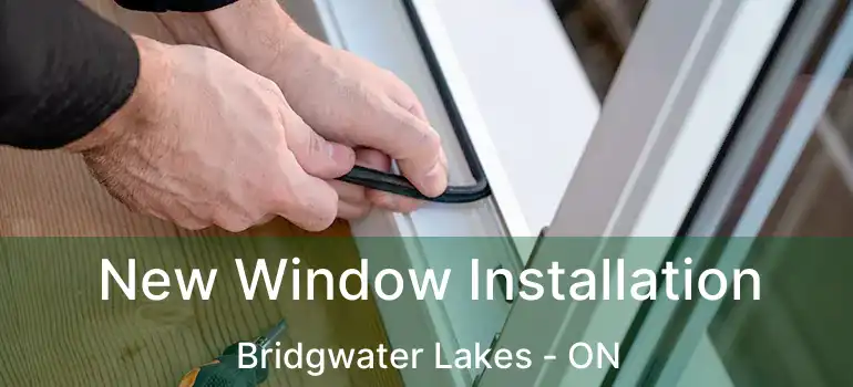  New Window Installation Bridgwater Lakes - ON
