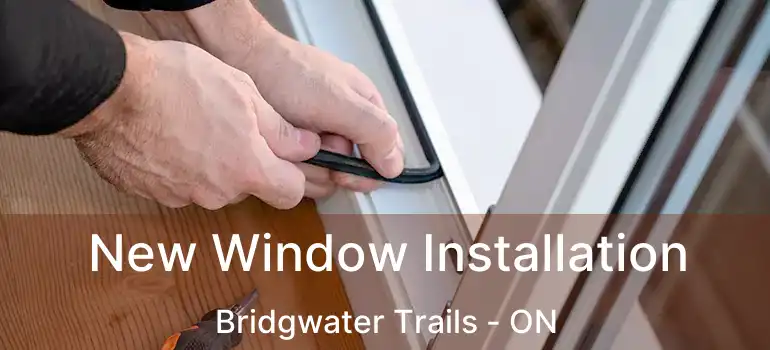  New Window Installation Bridgwater Trails - ON