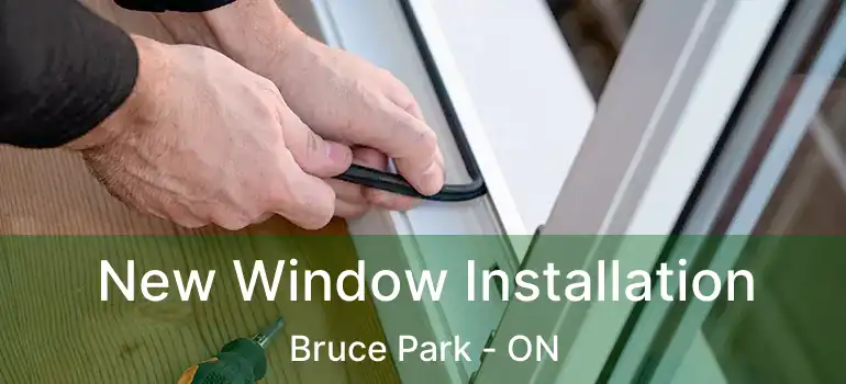 New Window Installation Bruce Park - ON