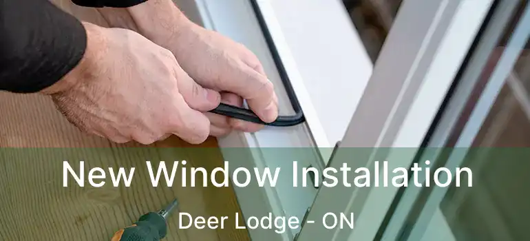  New Window Installation Deer Lodge - ON